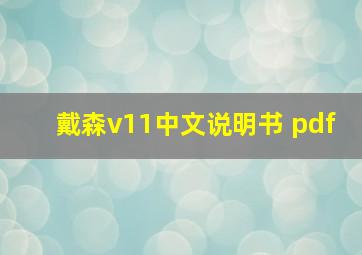 戴森v11中文说明书 pdf